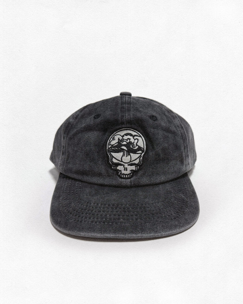 Mushroom Dog Hat (Washed Black)