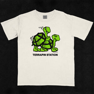 Terrapin